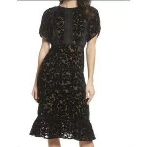 Foxiedox Womens‎ Sheath Dress Black Floral Ruffle Hem Scoop Short Sleeve S